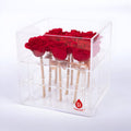 9 Preserved Roses in Acrylic Box: 100% Real Natural Roses That Last Over 1 Year-1