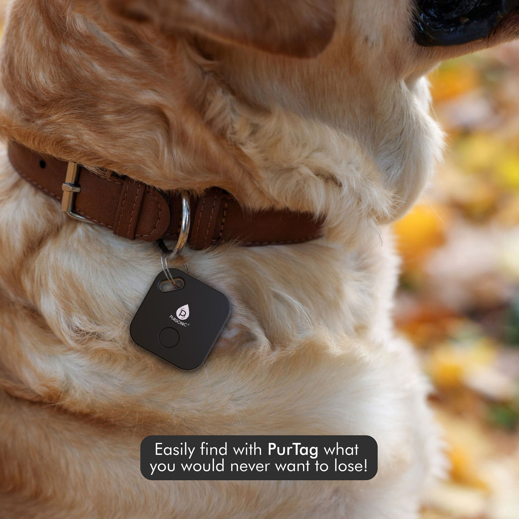 Smart Travel Set: Electric Luggage, Purtag Tracker & Memory Foam Pillow-4